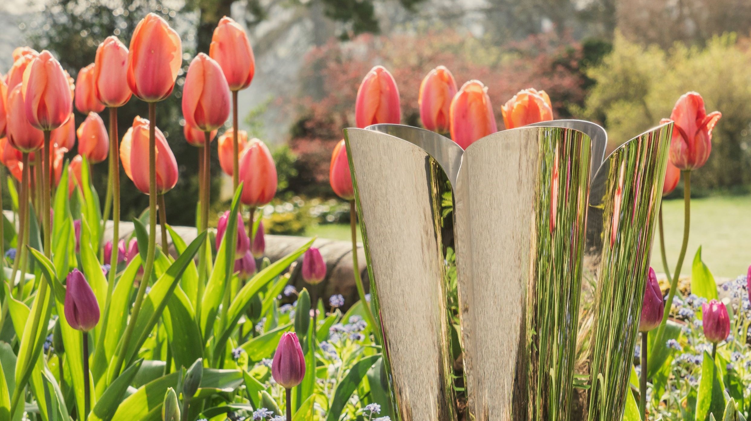 How to Style Houseplants