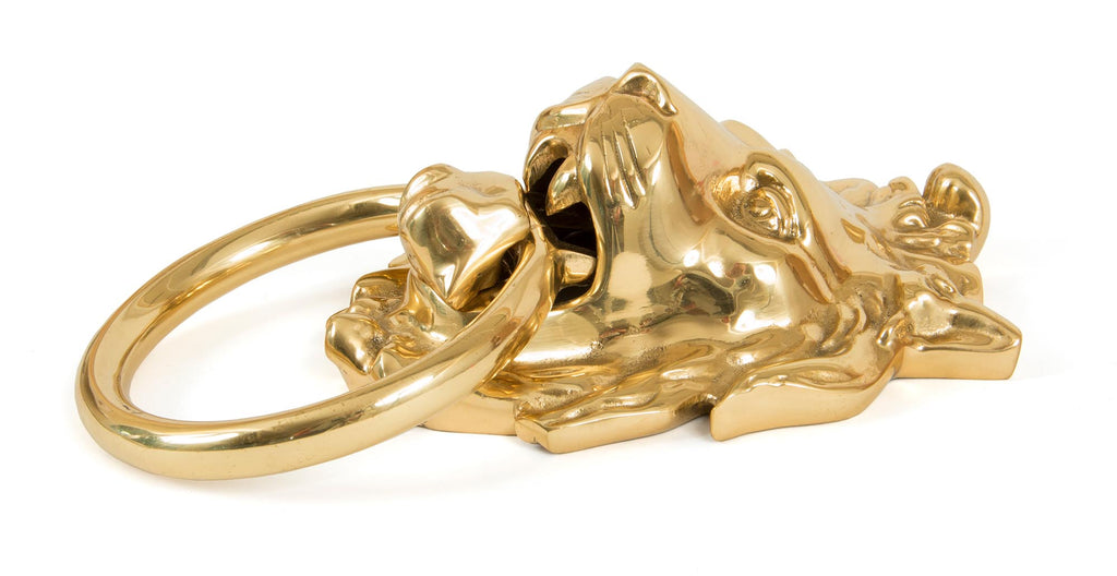 White background image of From The Anvil's Polished Brass Lion's Head Door Knocker | From The Anvil