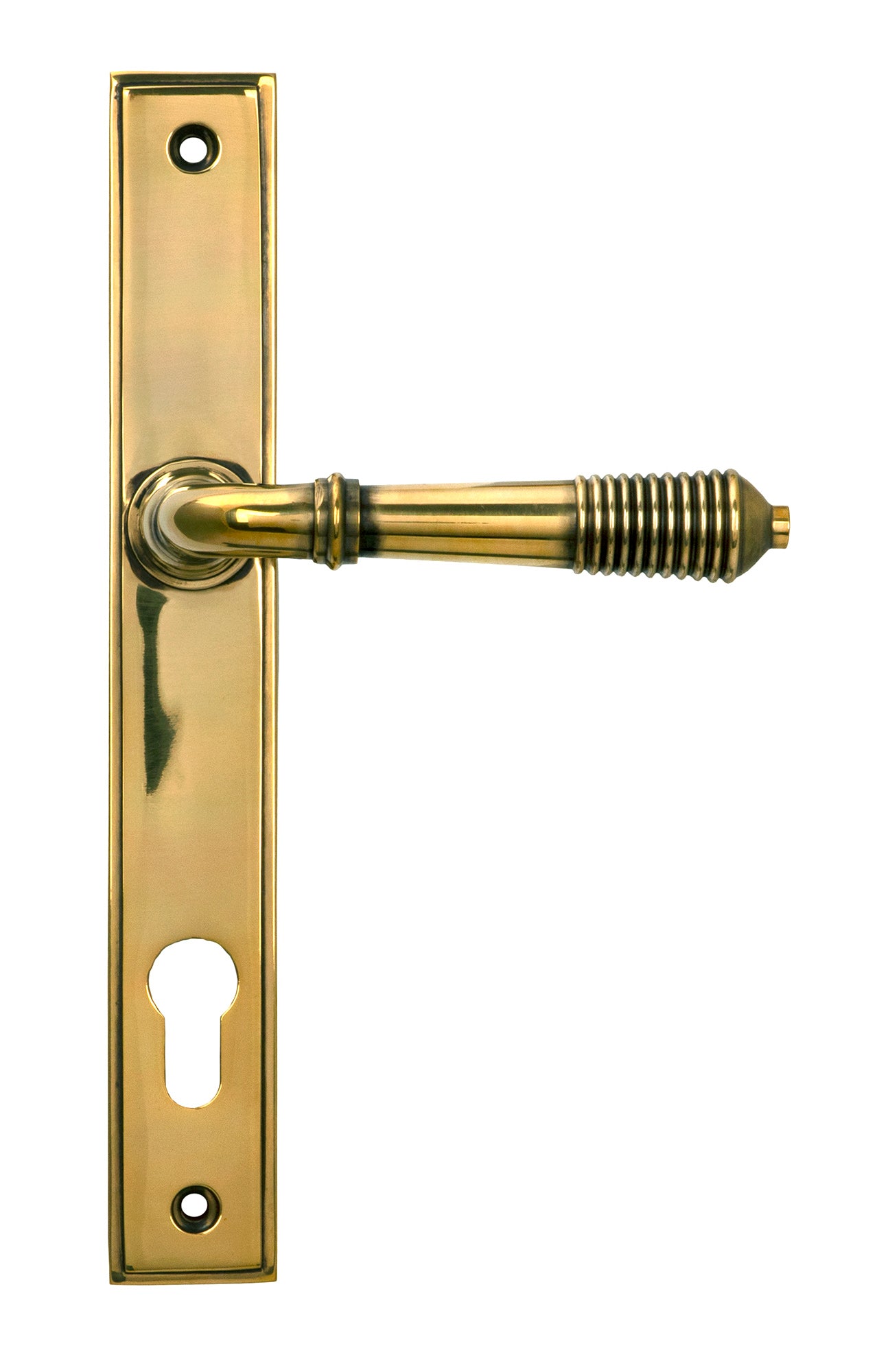 From The Anvil's Aged Brass Reeded Slimline Lever Espag. Lock Set