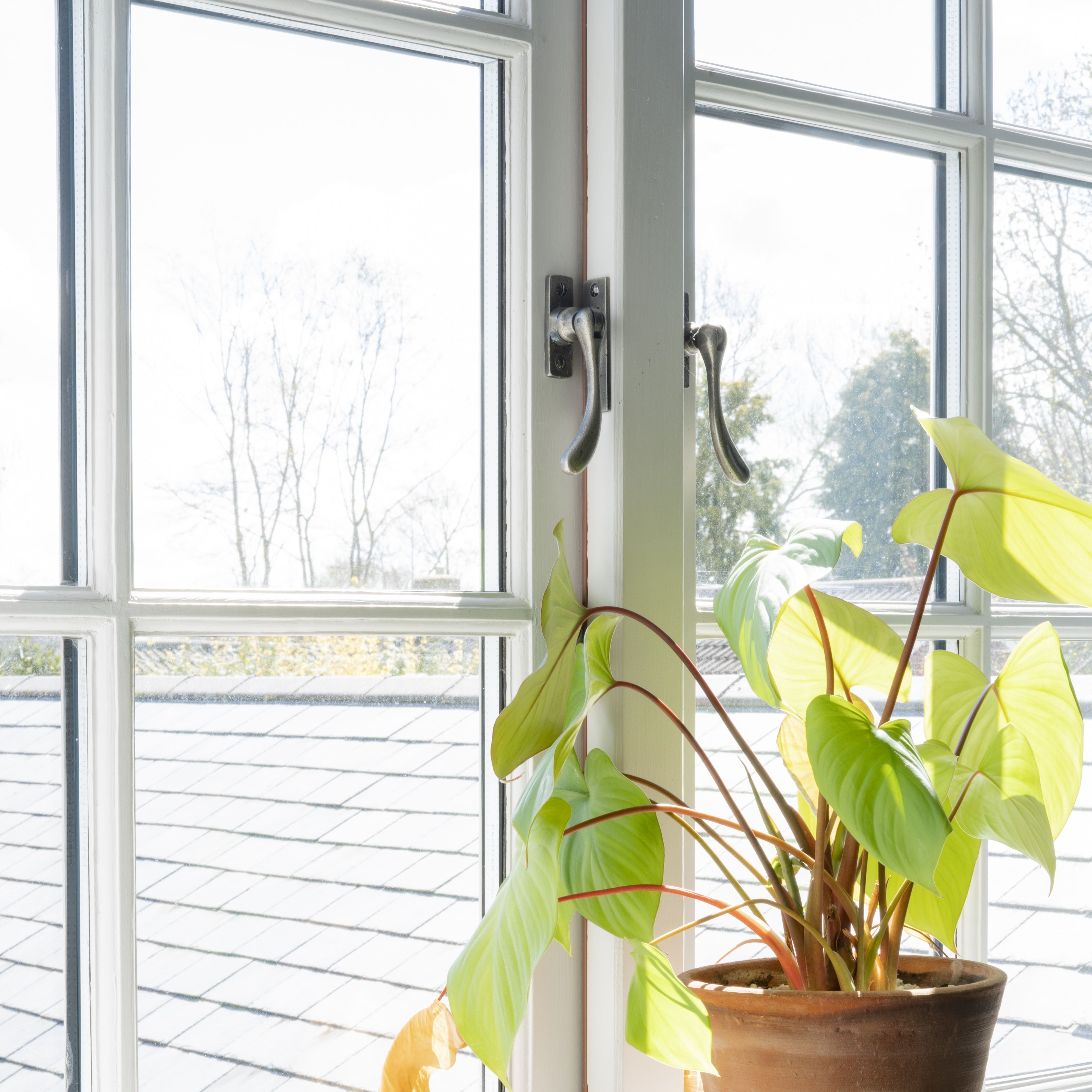 Pewter Peardrop window fasteners on white window frames, with a green plant potted in a terracotta pot on the windowsill.