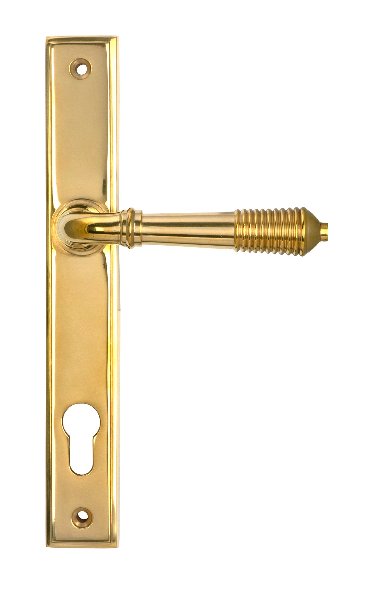 From The Anvil's Polished Brass Reeded Slimline Lever Espag. Lock Set