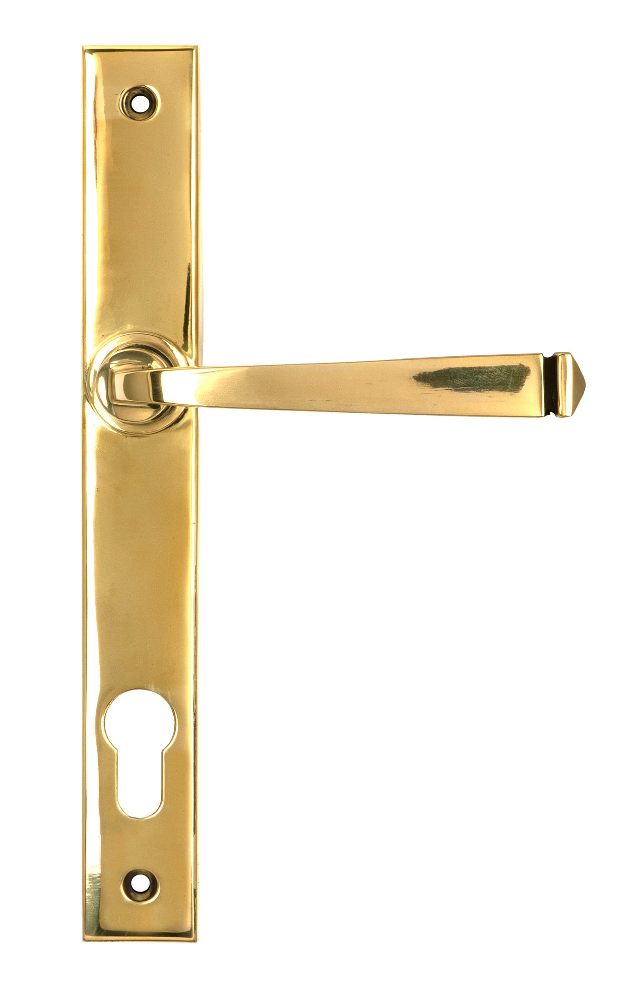 From The Anvil's Polished Brass Avon Slimline Lever Espag. Lock Set