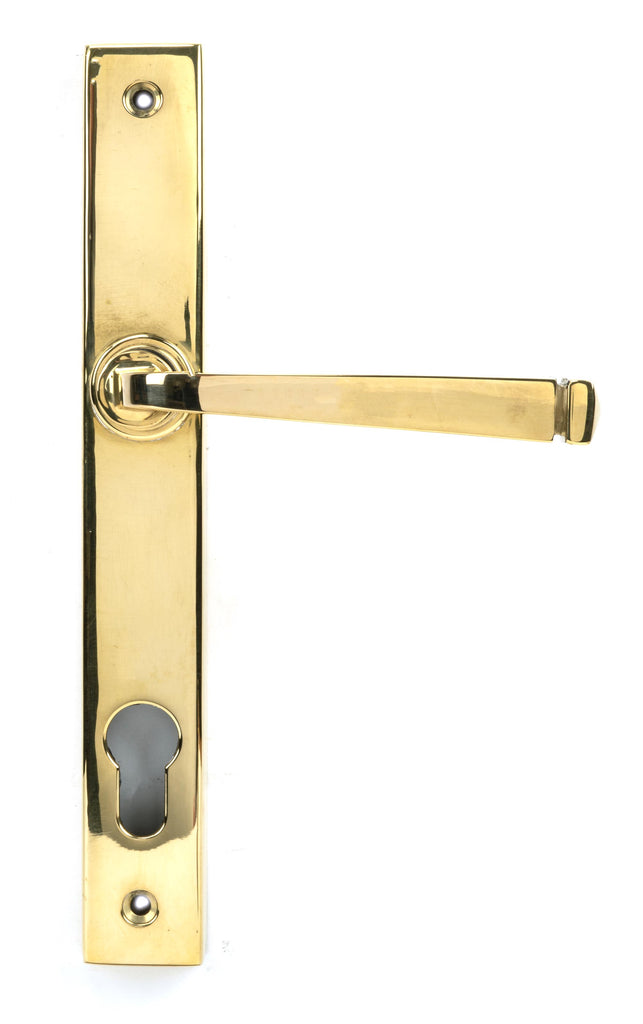 White background image of From The Anvil's Polished Brass Avon Slimline Lever Espag. Lock Set | From The Anvil