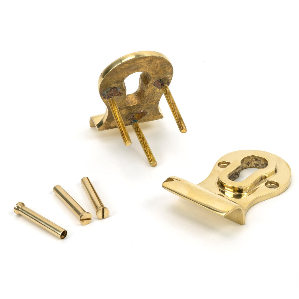 White background image of From The Anvil's Polished Brass 50mm Euro Door Pull (Back to Back Fixings) | From The Anvil