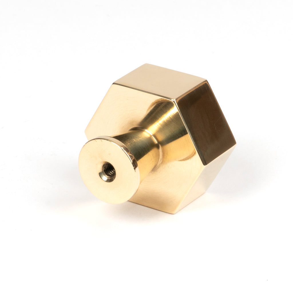 White background image of From The Anvil's Polished Brass Kahlo Cabinet Knob | From The Anvil