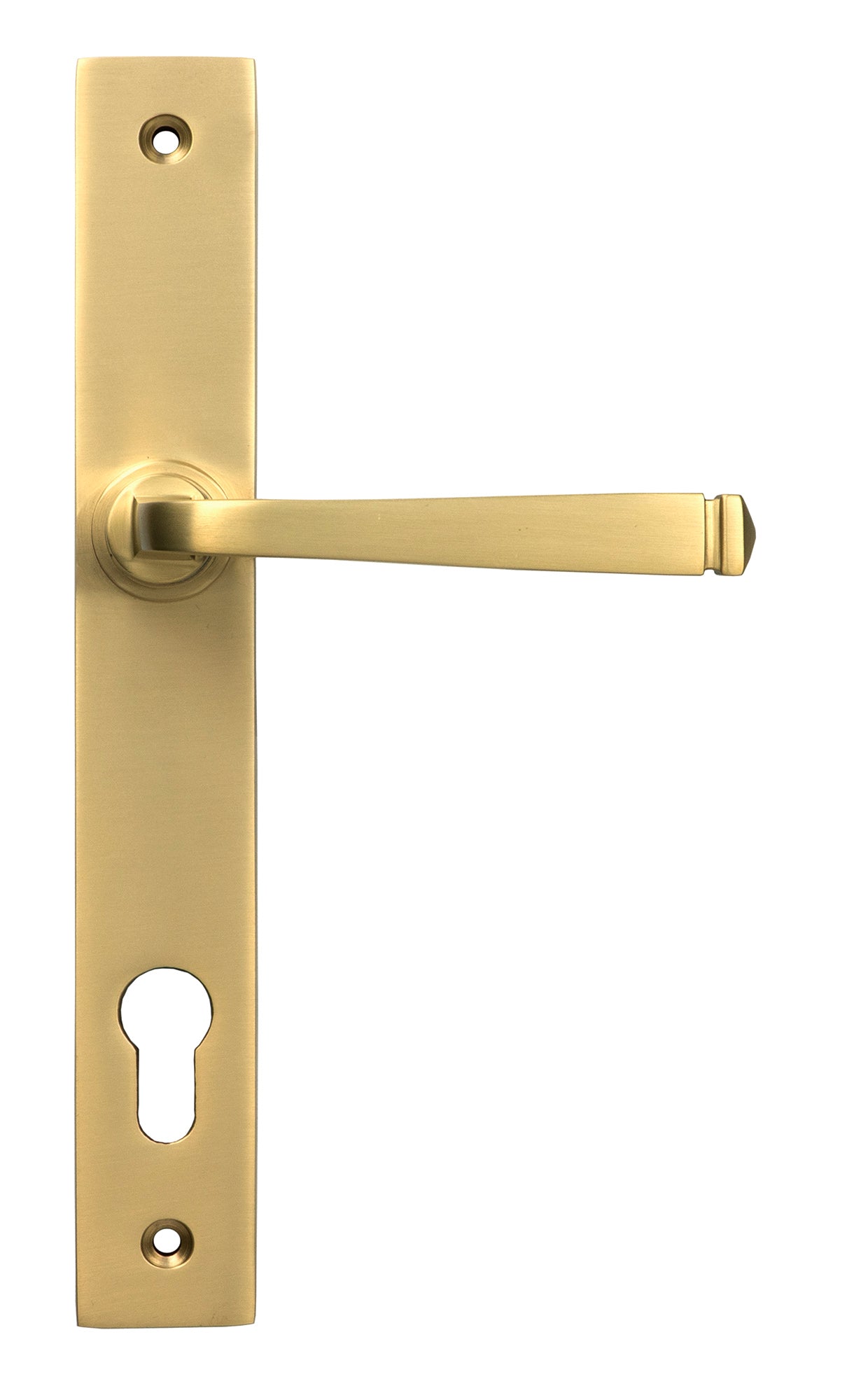 From The Anvil's Satin Brass Avon Slimline Lever Espag. Lock Set