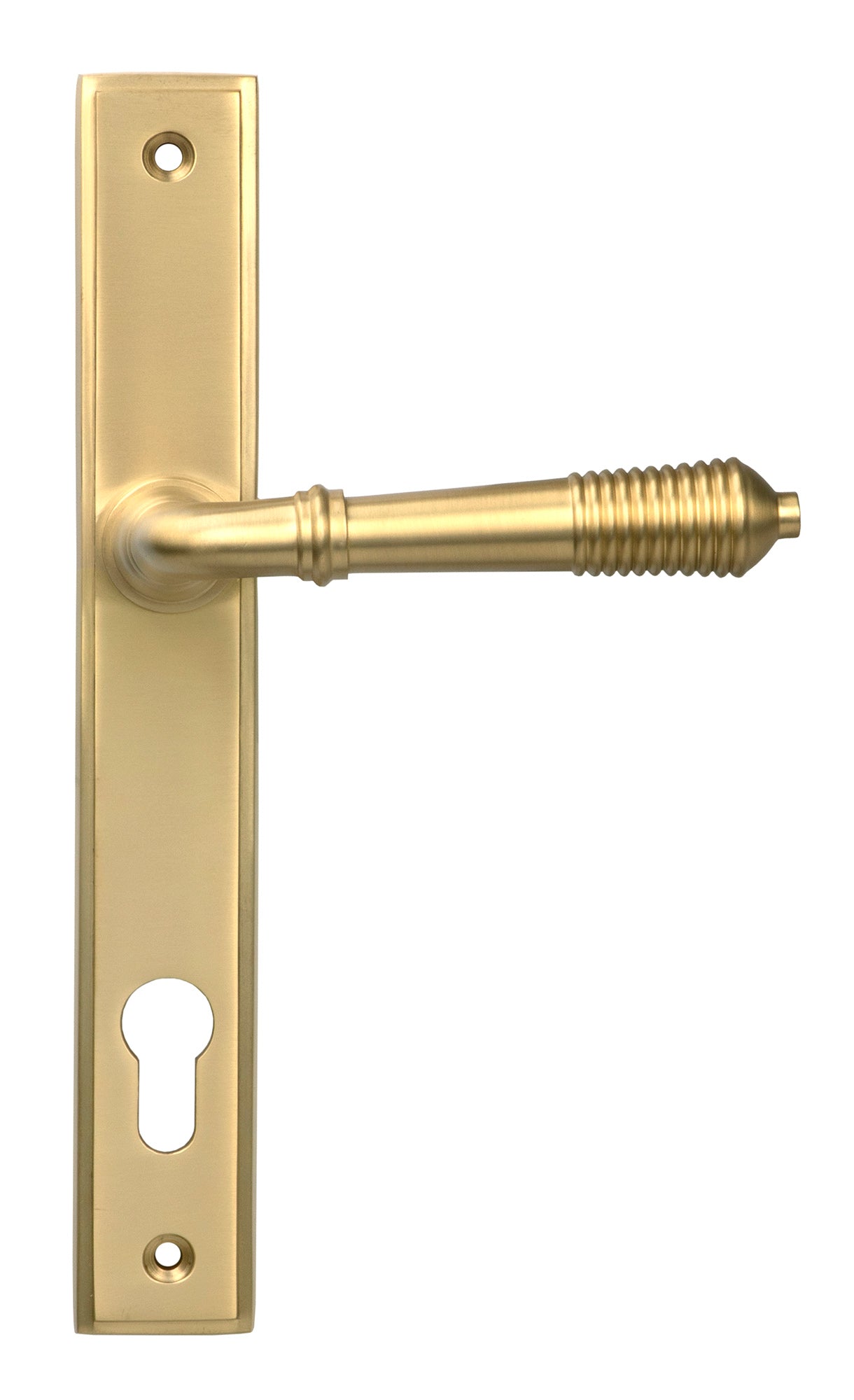 From The Anvil's Satin Brass Reeded Slimline Lever Espag. Lock Set