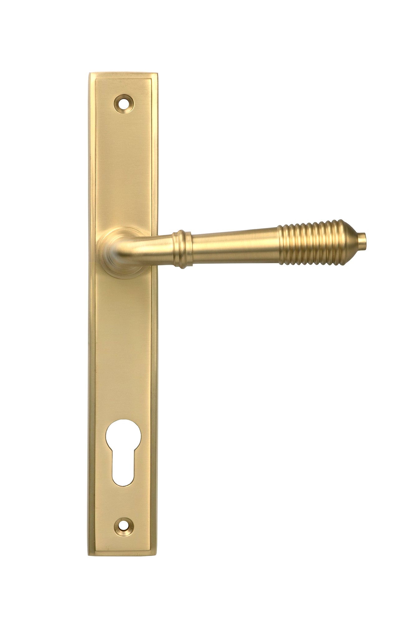 From The Anvil's Satin Brass Reeded Slimline Lever Espag. Lock Set