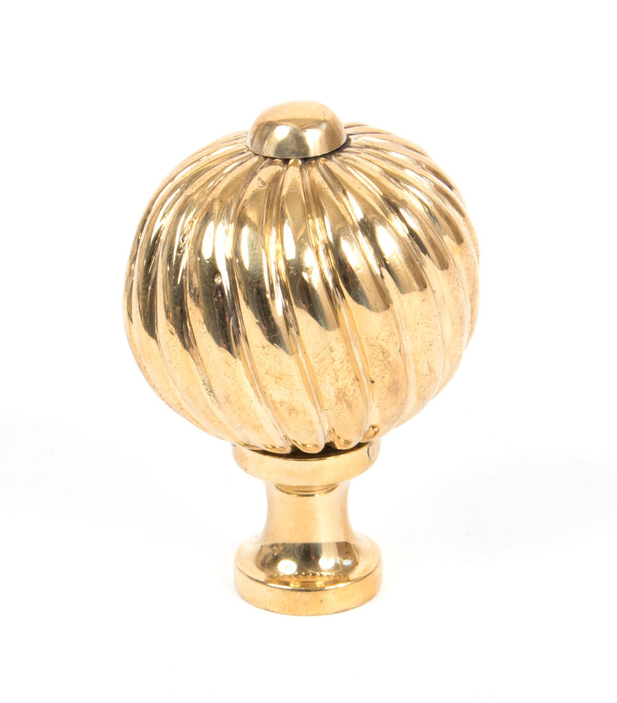 White background image of From The Anvil's Polished Brass Spiral Cabinet Knob | From The Anvil