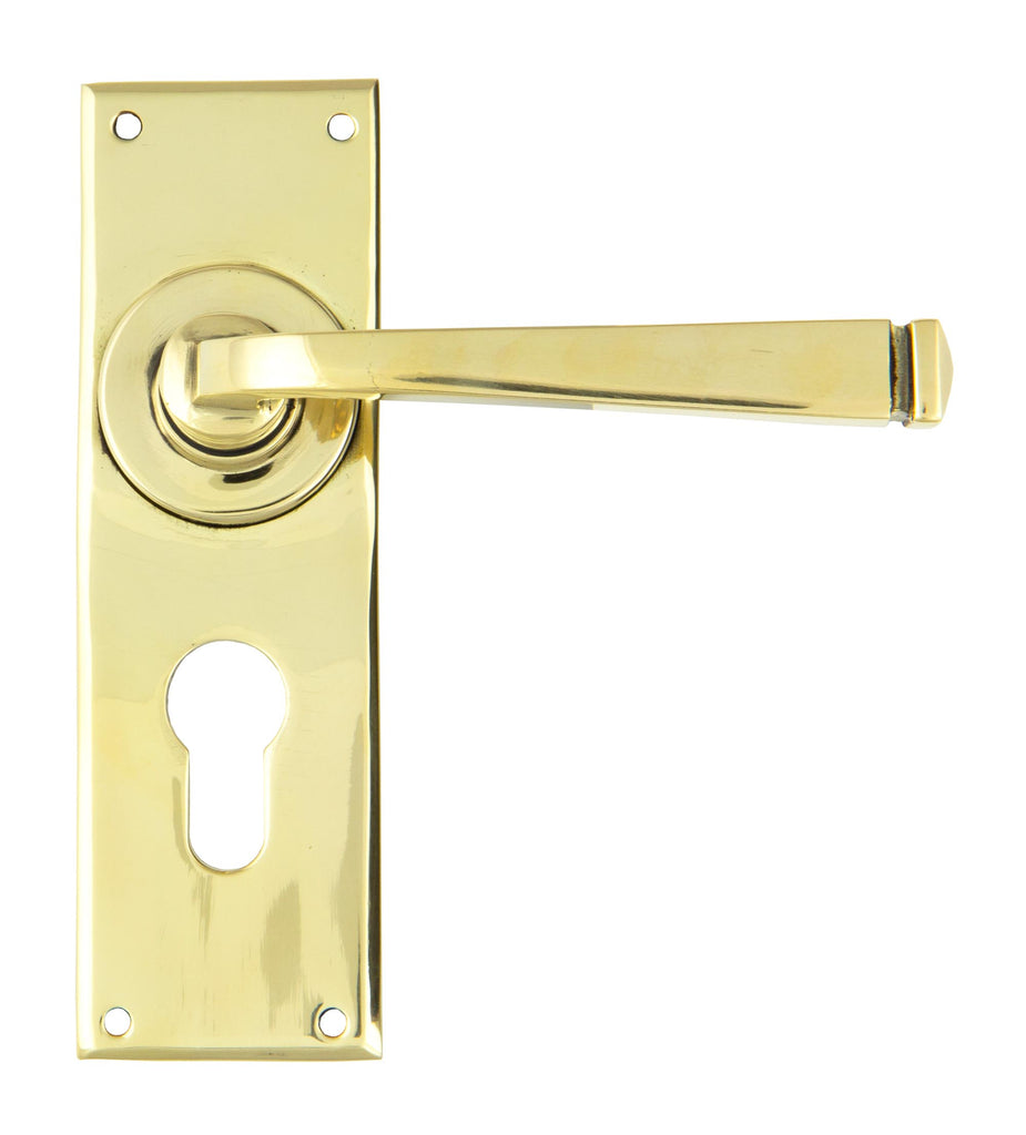 White background image of From The Anvil's Aged Brass Avon Lever Euro Lock Set | From The Anvil
