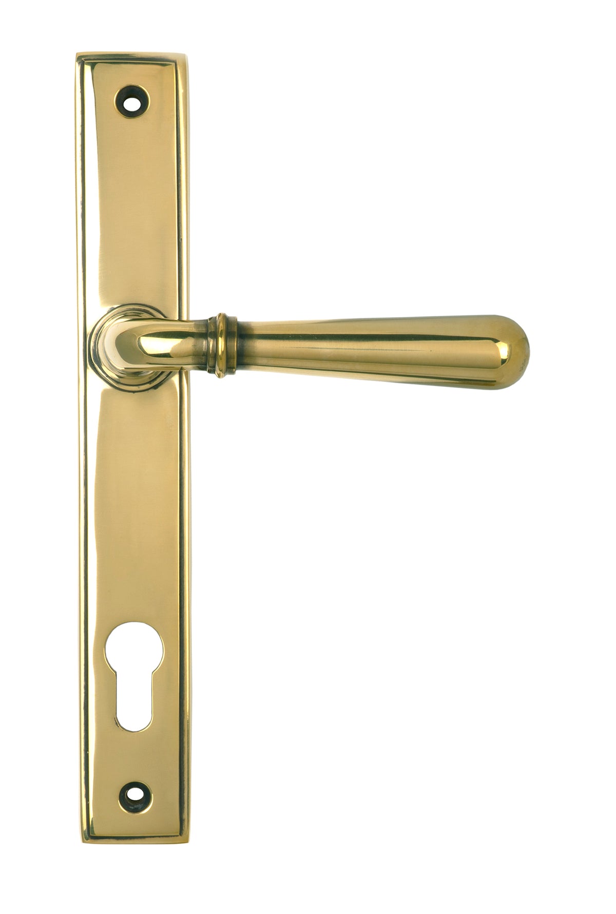 From The Anvil's Aged Brass Newbury Slimline Lever Espag. Lock Set