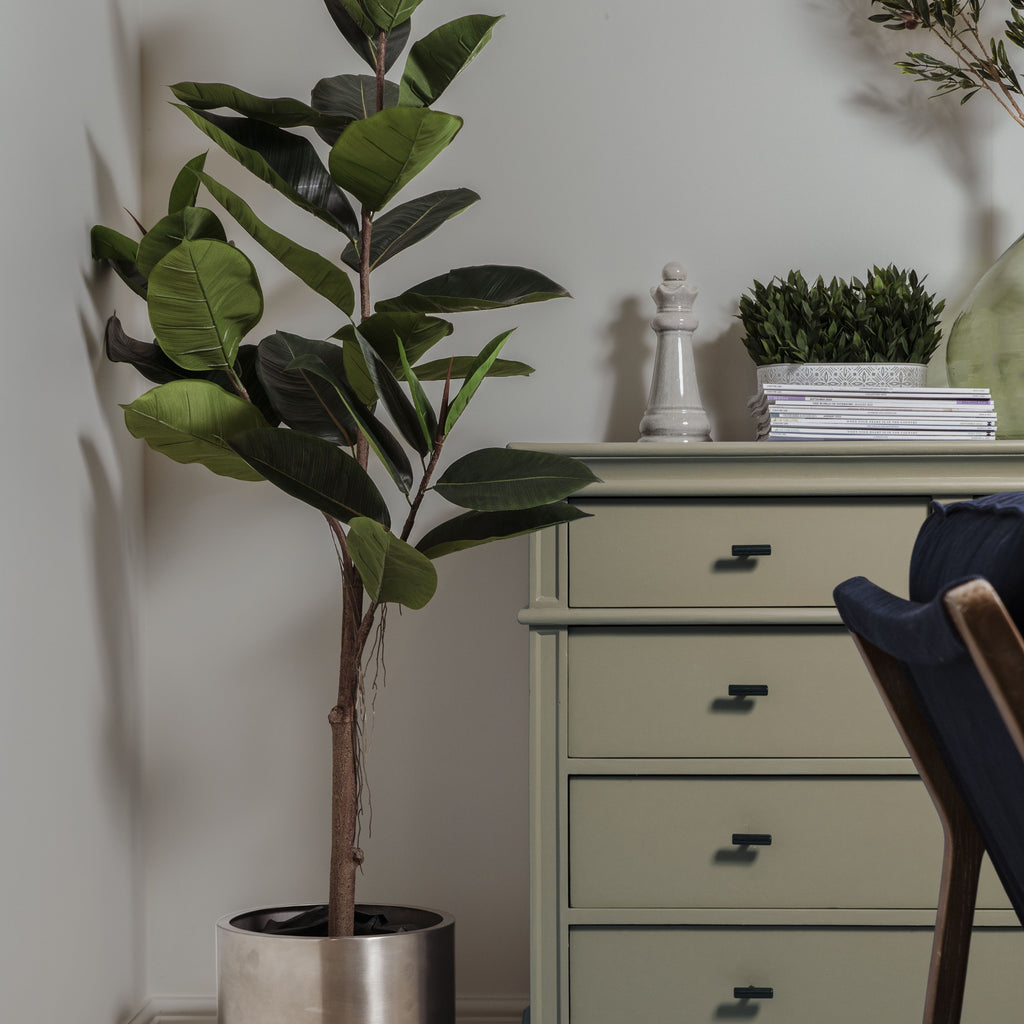 Satin Stainless Steel large modern plant pot with a rubber tree next to a green chest of drawers with From The Anvil T bar cabinet pull handles. 