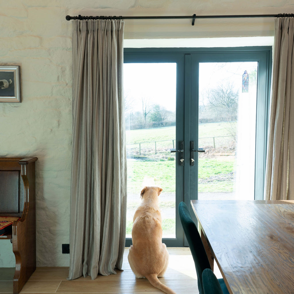 From The Anvil Black lever lock door handles on glazed aluminium doors, with a golden retriever looking through the glass.