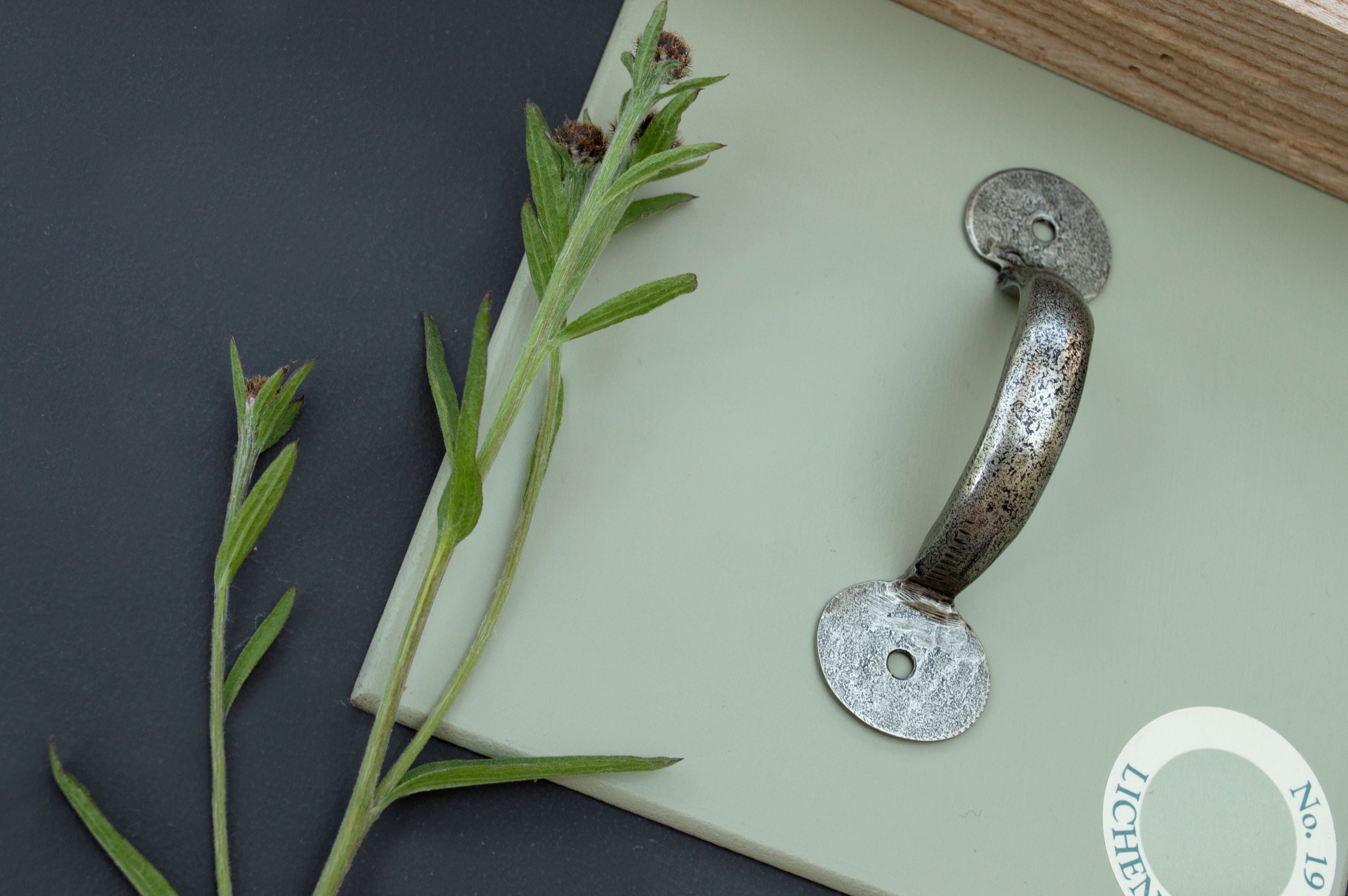 Pewter pull handle on sage green paint sample with navy blue background next to a freshly cut plant.