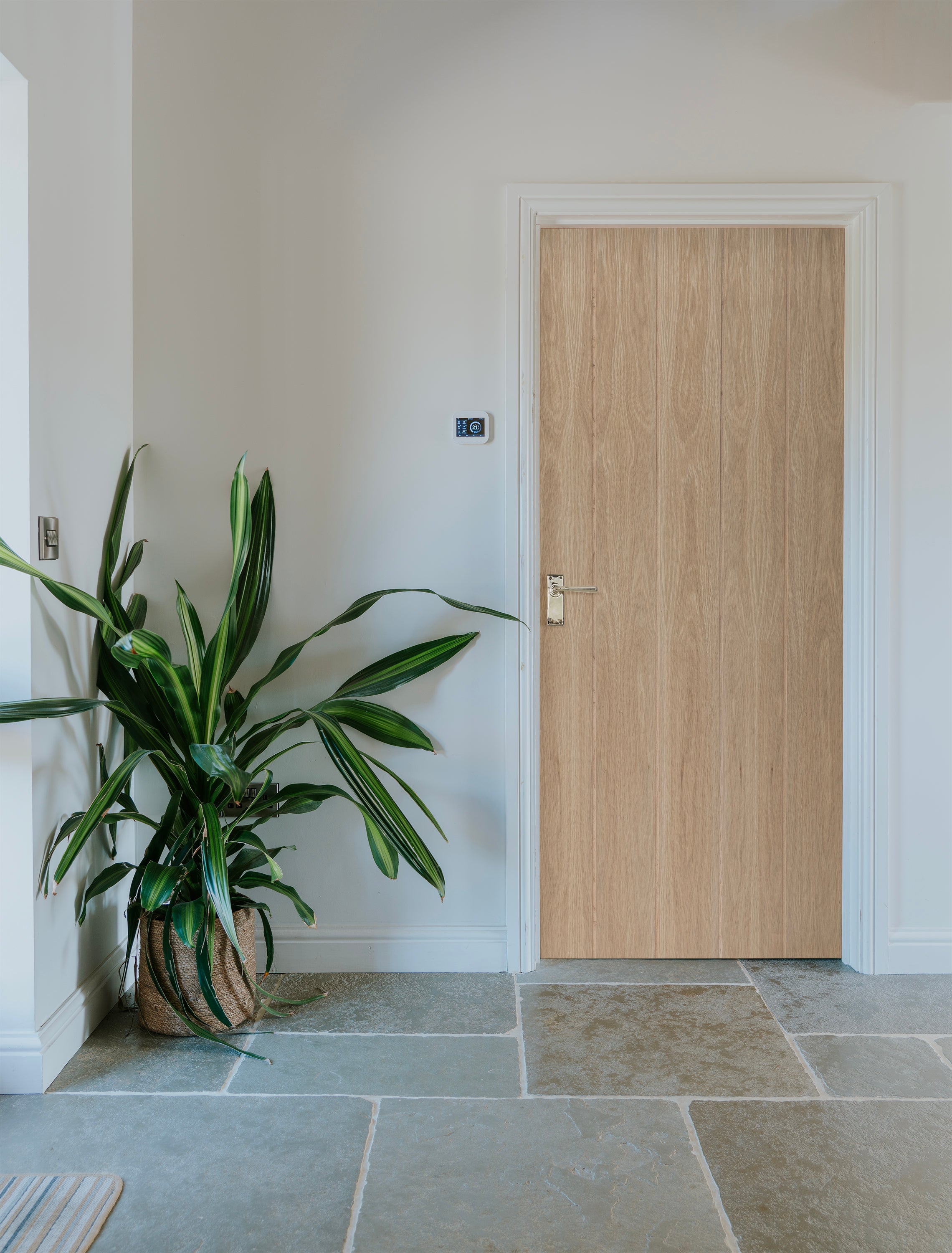 Boarded Doors