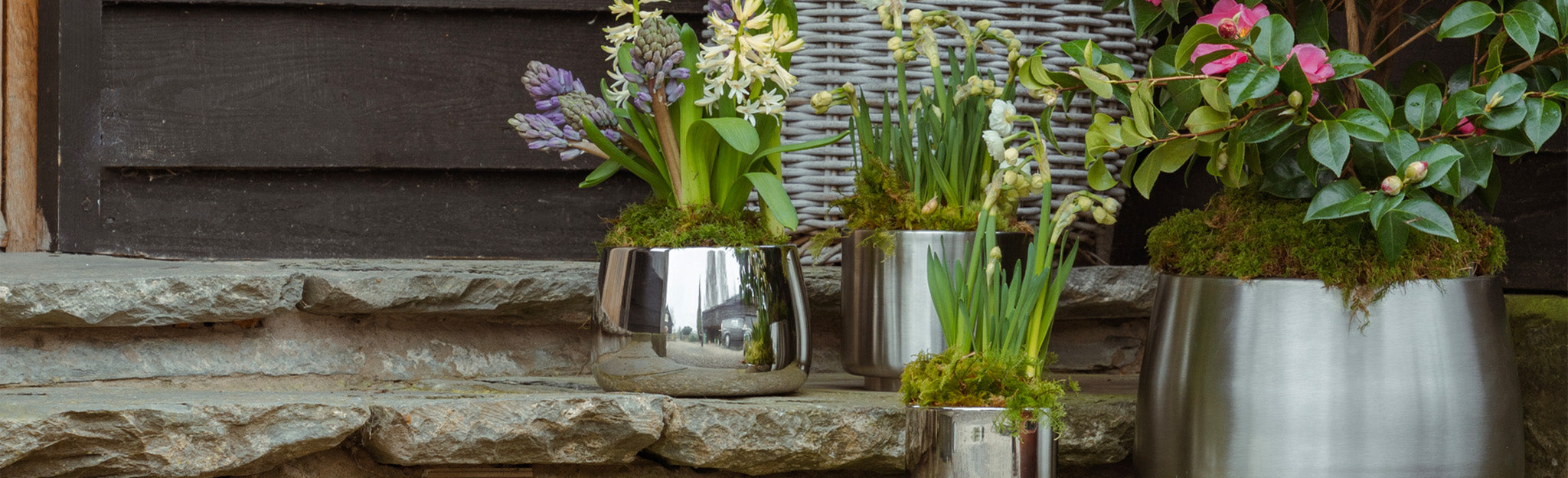 Newlyn & Hepworth Plant Pots