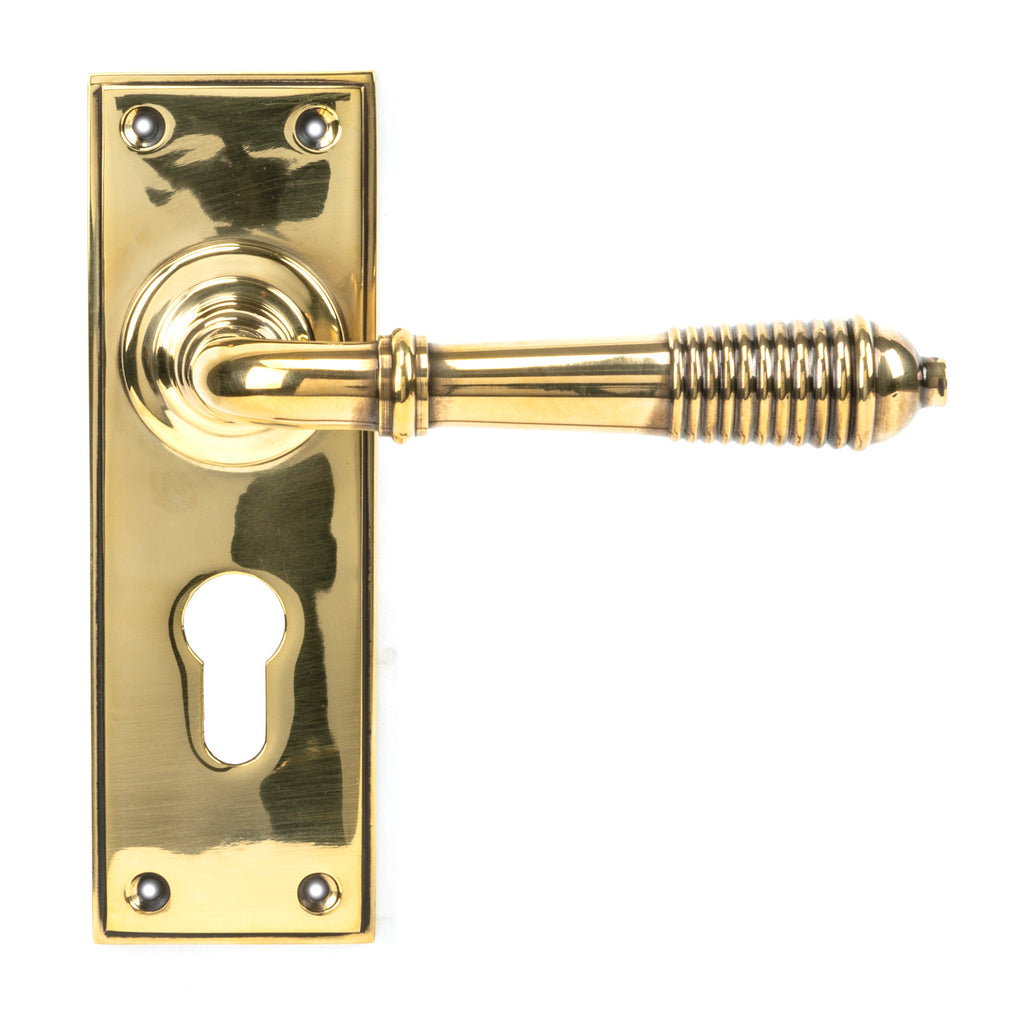 From The Anvil's Aged Brass Reeded Lever Euro Lock Set