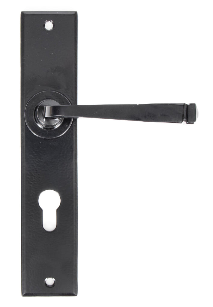 White background image of From The Anvil's Black Large Avon Lever Euro Lock Set | From The Anvil