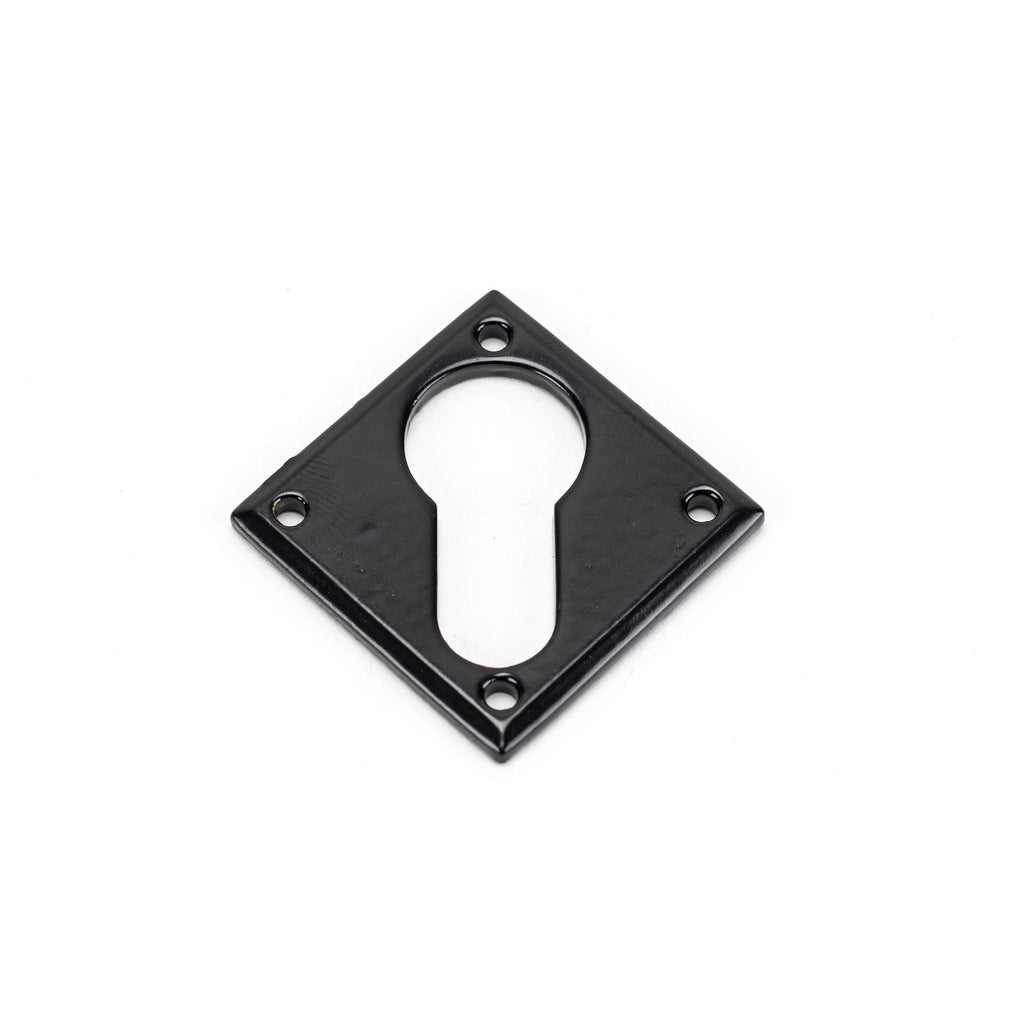 White background image of From The Anvil's Black Diamond Euro Escutcheon | From The Anvil