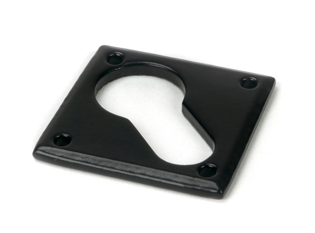 White background image of From The Anvil's Black Diamond Euro Escutcheon | From The Anvil