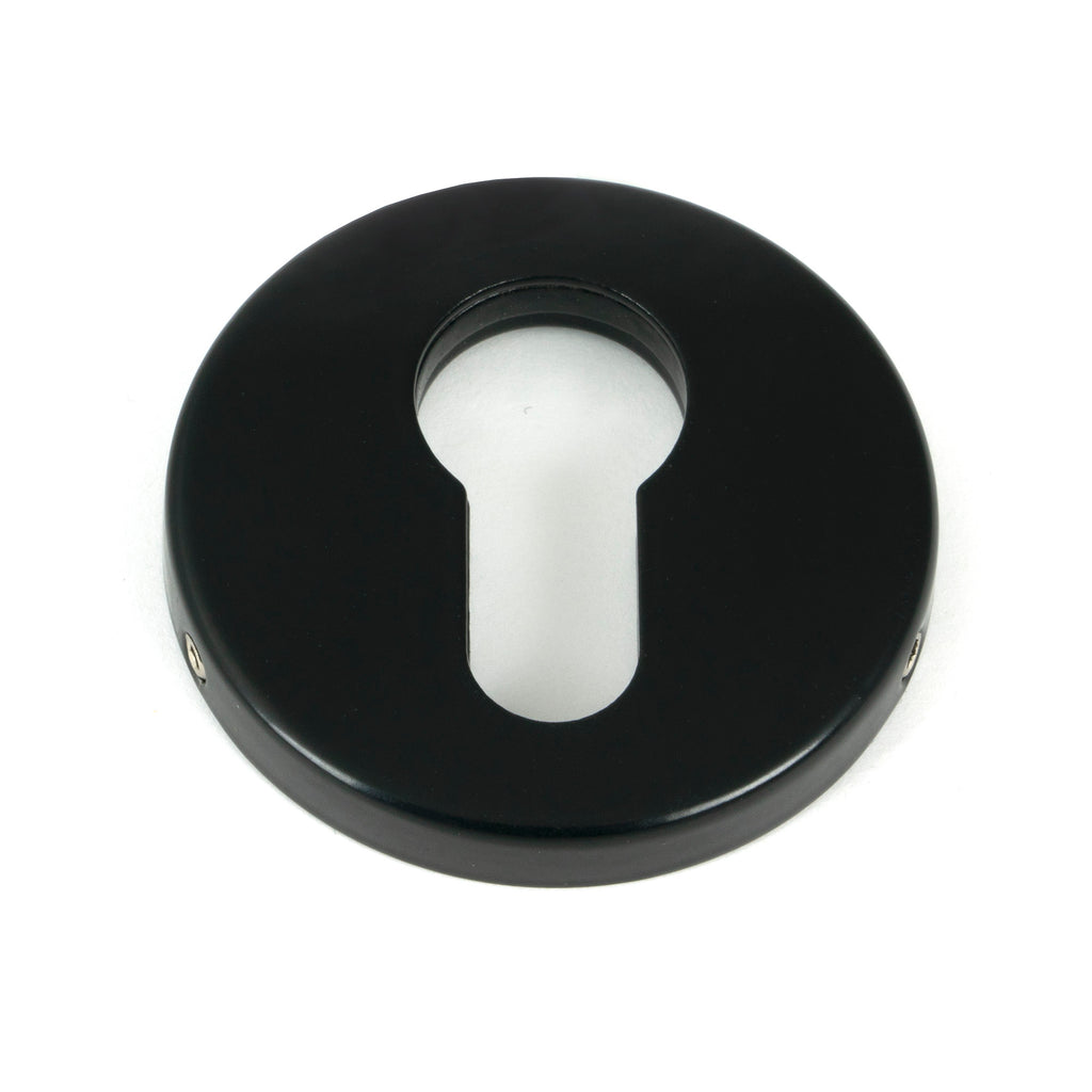 White background image of From The Anvil's Black 52mm Regency Concealed Escutcheon | From The Anvil