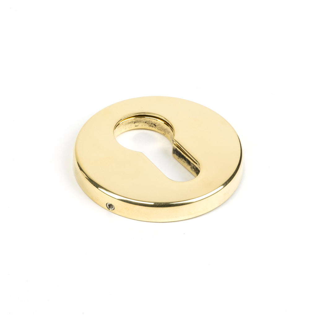 White background image of From The Anvil's Aged Brass 52mm Regency Concealed Escutcheon | From The Anvil