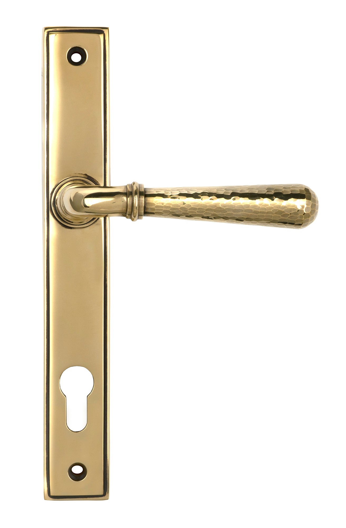 From The Anvil's Aged Brass Hammered Newbury Slimline Espag. Lock Set