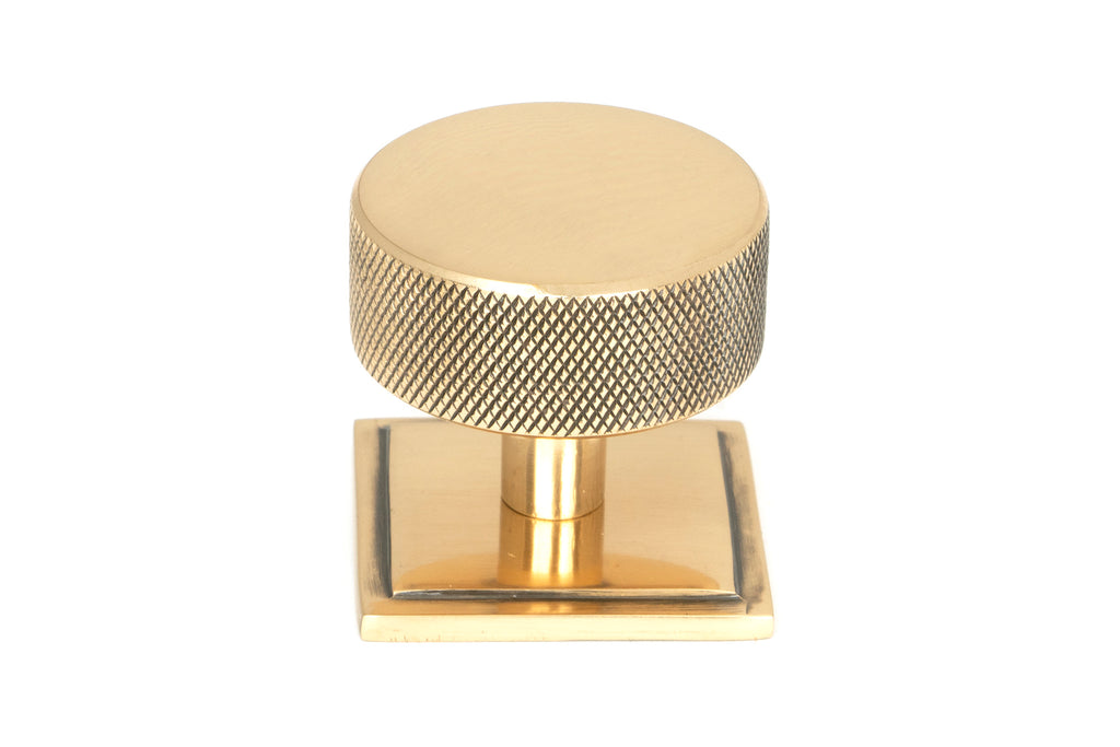 White background image of From The Anvil's Polished Bronze 38mm Brompton Cabinet Knob | From The Anvil