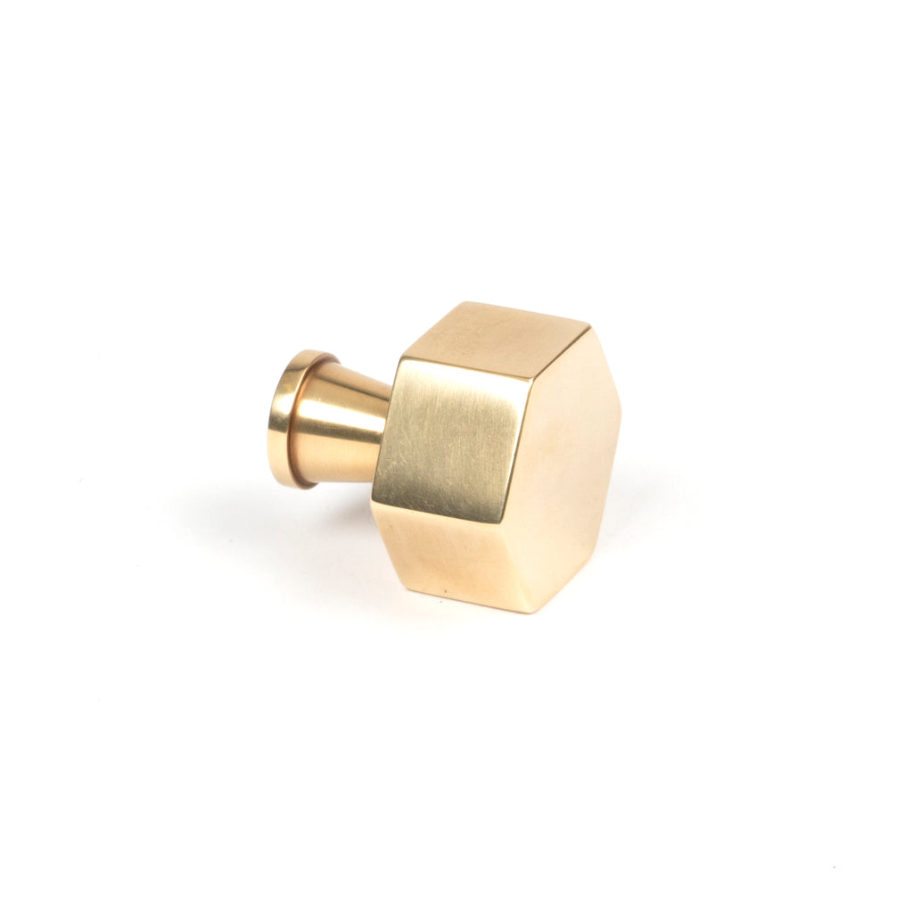 White background image of From The Anvil's Polished Brass Kahlo Cabinet Knob | From The Anvil