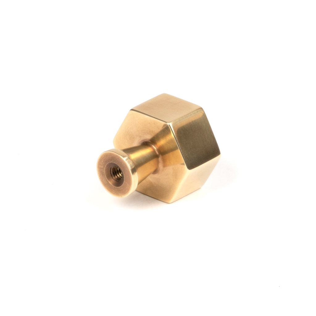 White background image of From The Anvil's Polished Brass Kahlo Cabinet Knob | From The Anvil
