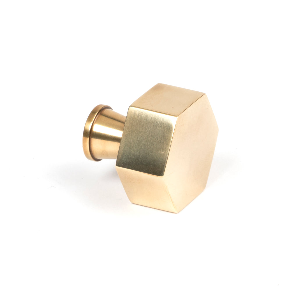 White background image of From The Anvil's Aged Brass Kahlo Cabinet Knob | From The Anvil
