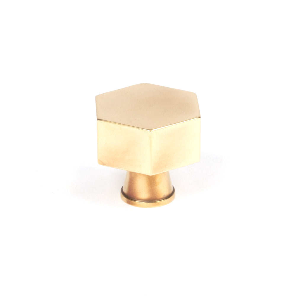 White background image of From The Anvil's Aged Brass Kahlo Cabinet Knob | From The Anvil