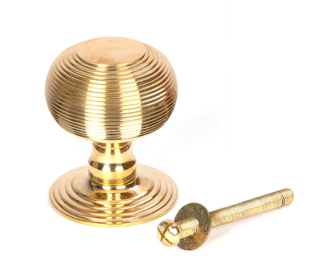 White background image of From The Anvil's Polished Brass Beehive Centre Door Knob | From The Anvil