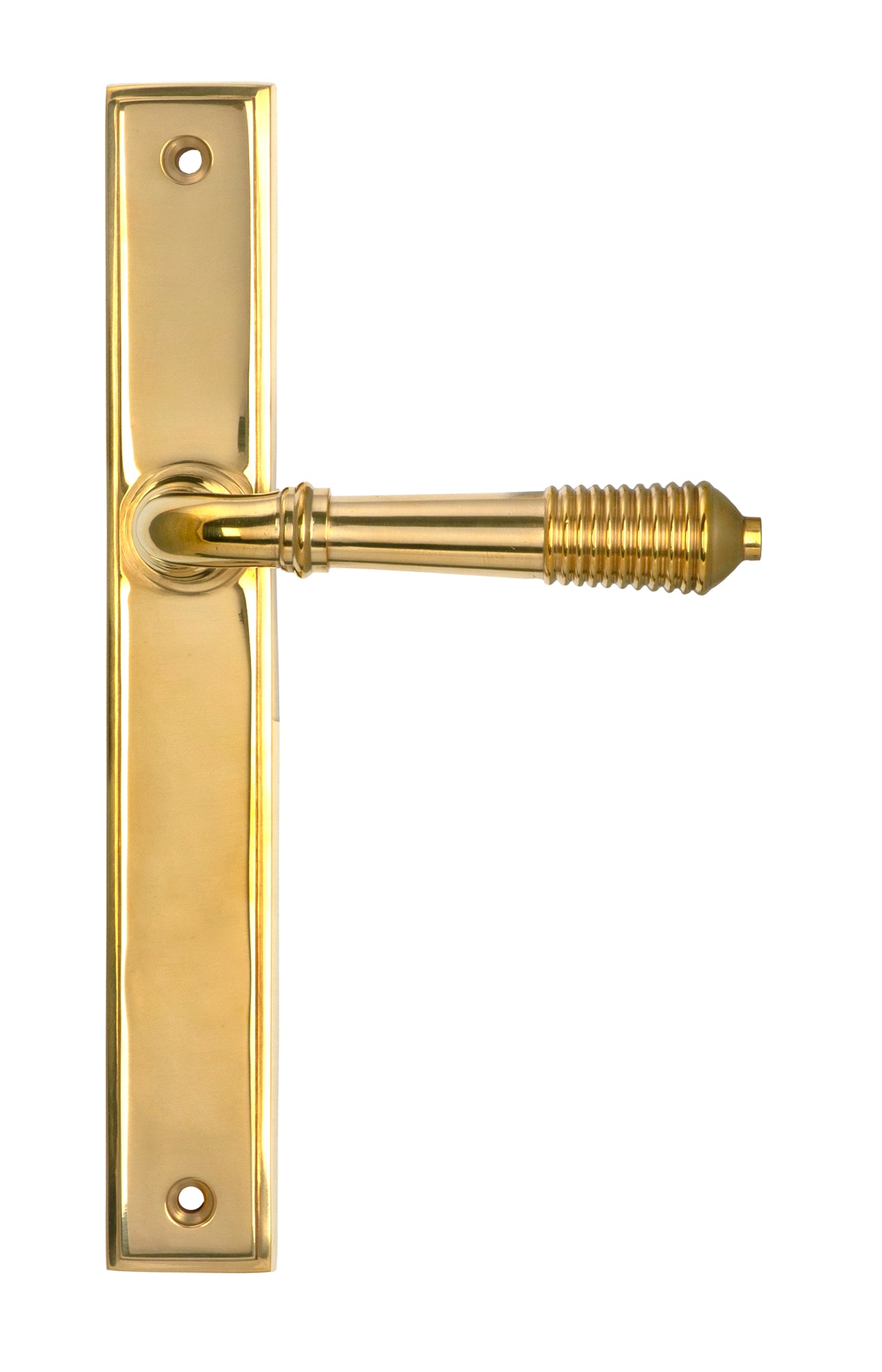 From The Anvil's Polished Brass Reeded Slimline Lever Espag. Latch Set