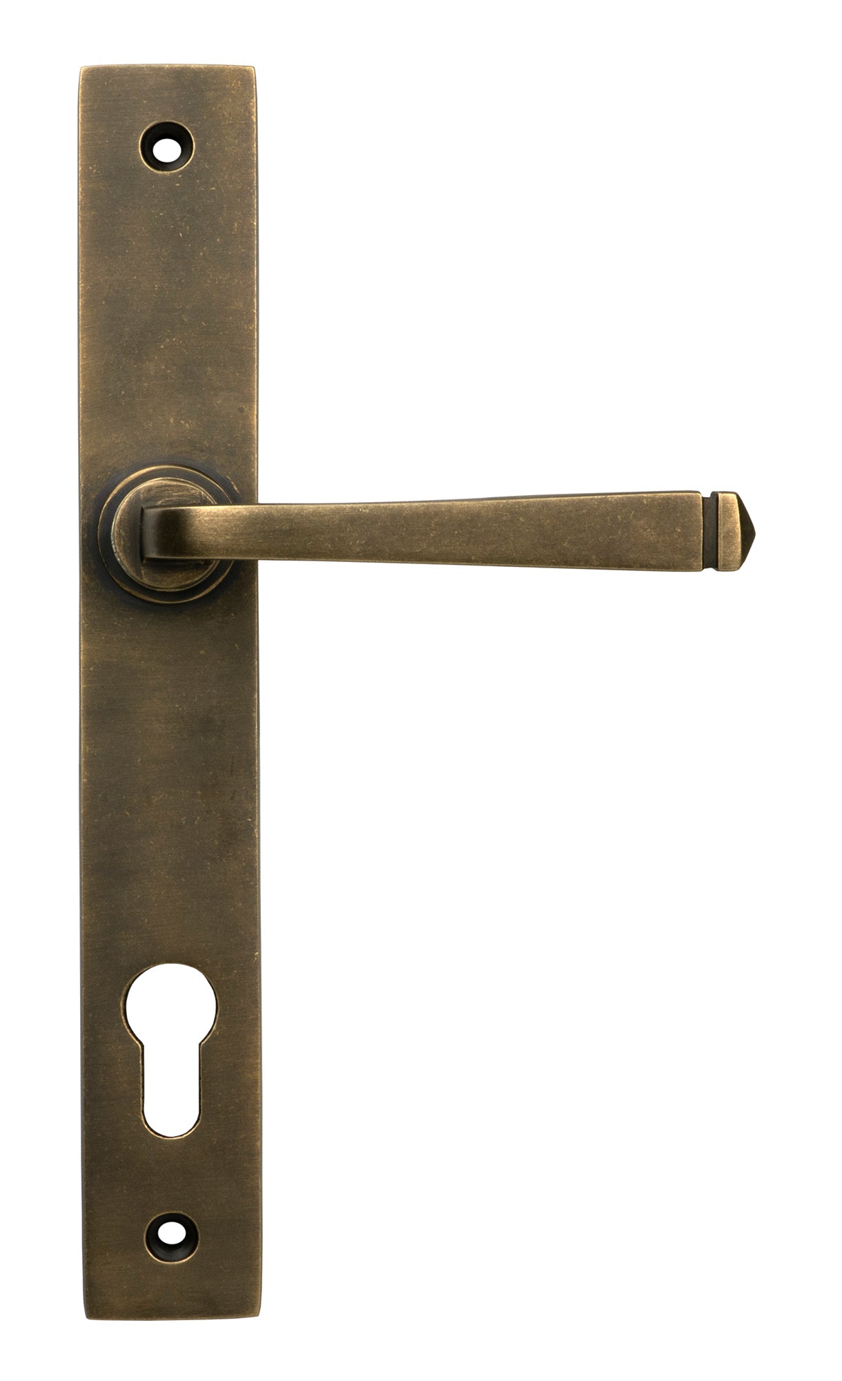 From The Anvil's Burnished Brass Avon Slimline Lever Espag. Lock Set
