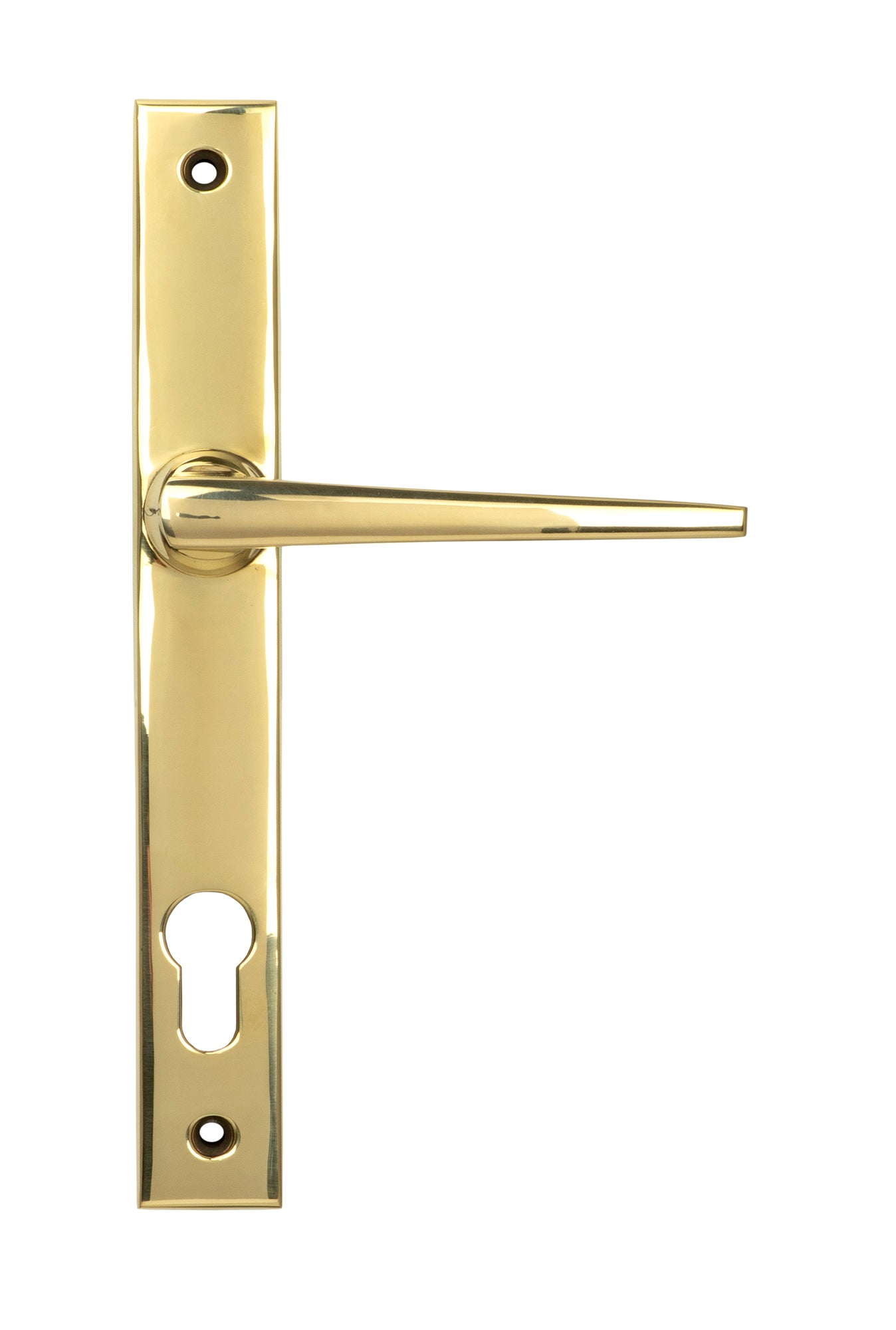 From The Anvil's Polished Brass Eaton Slimline Lever Espag. Lock Set