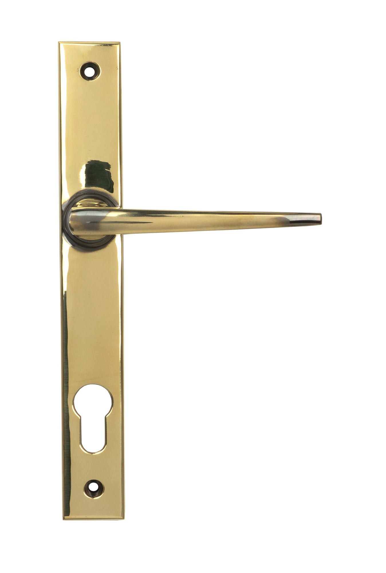 From The Anvil's Aged Brass Eaton Slimline Lever Espag. Lock Set