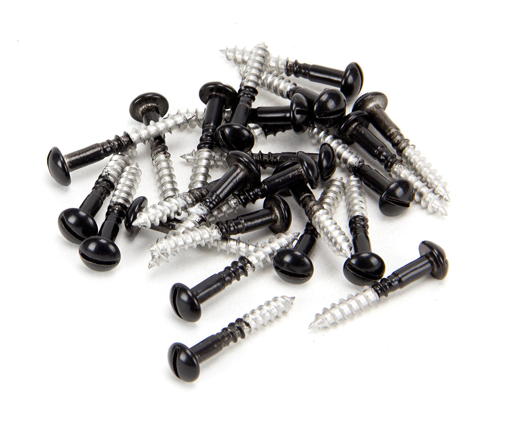 White background image of From The Anvil's Black Black SS  Roundhead Screws (25) | From The Anvil