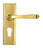 From The Anvil's Aged Brass Avon Lever Euro Lock Set