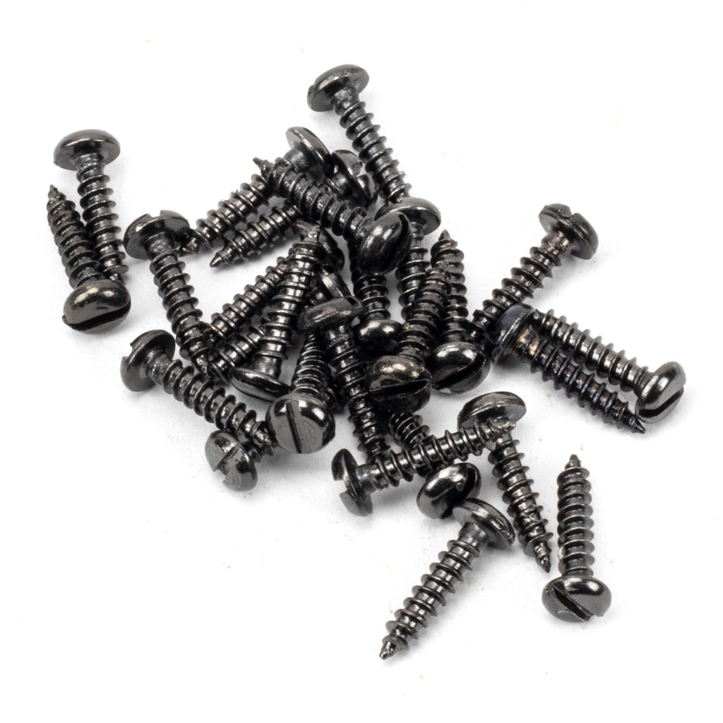 White background image of From The Anvil's Dark Stainless Steel Round Head Screws (25) | From The Anvil