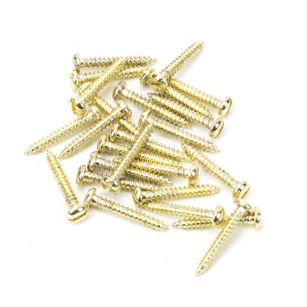 White background image of From The Anvil's Polished Brass Round Head Screws (25) | From The Anvil