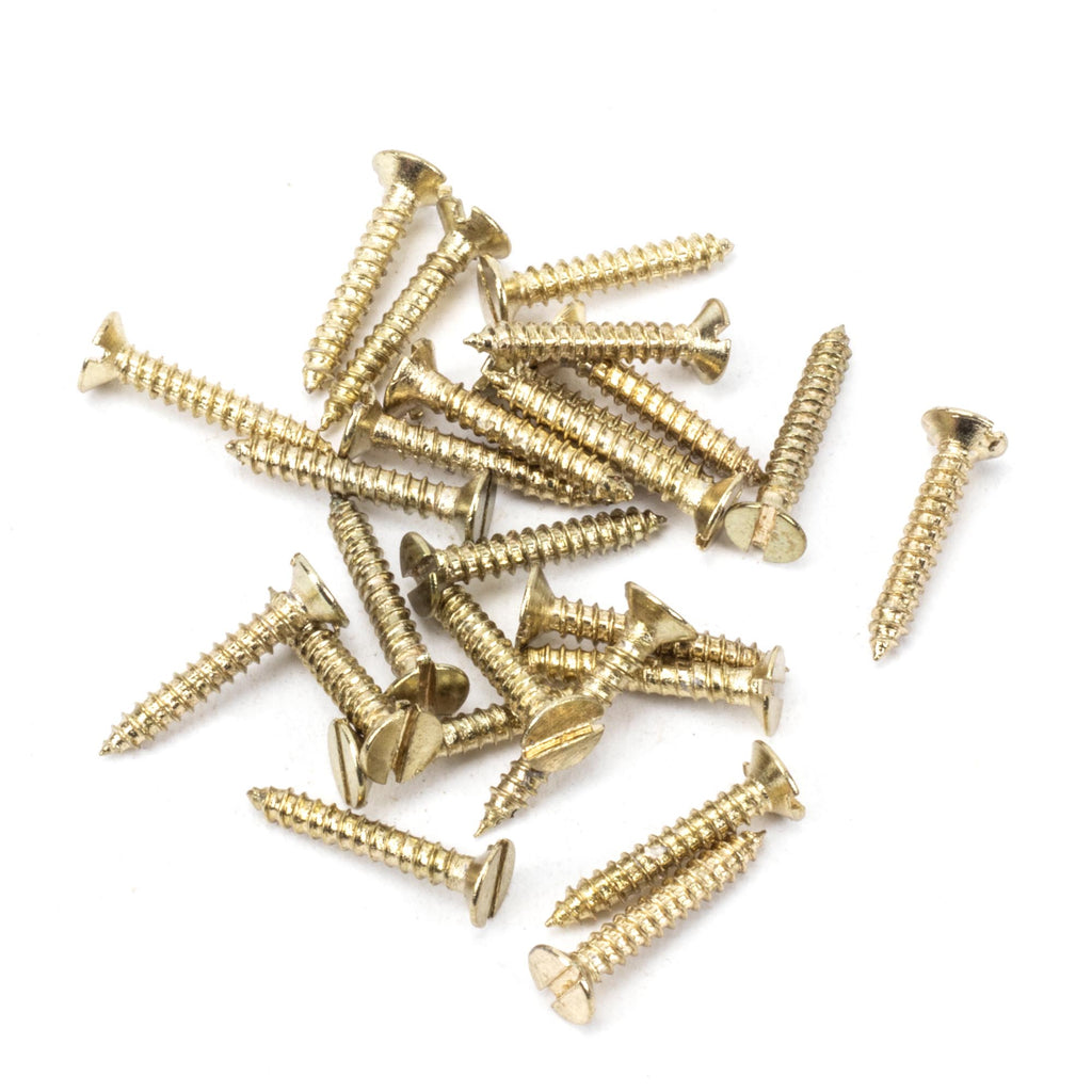 White background image of From The Anvil's Polished Brass Countersunk Screws (25) | From The Anvil