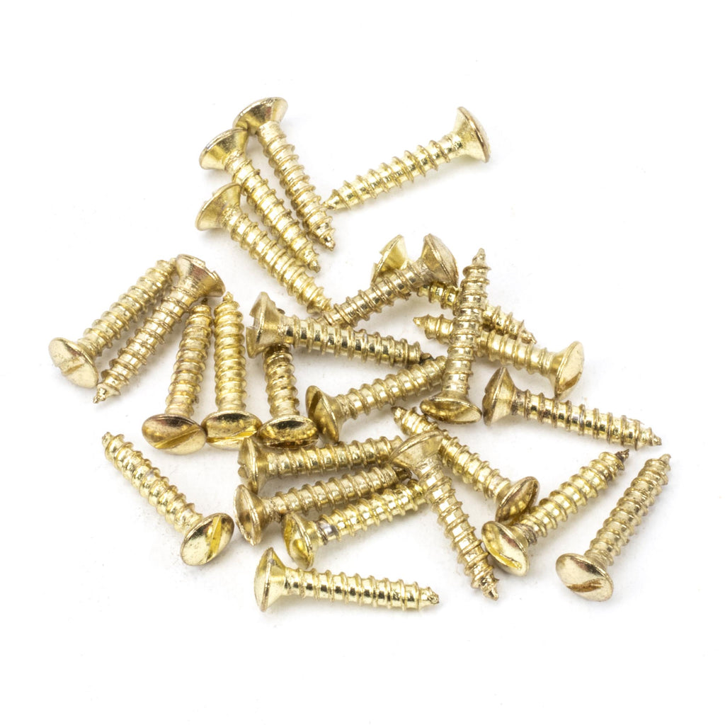 White background image of From The Anvil's Polished Brass Countersunk Raised Head Screws (25) | From The Anvil