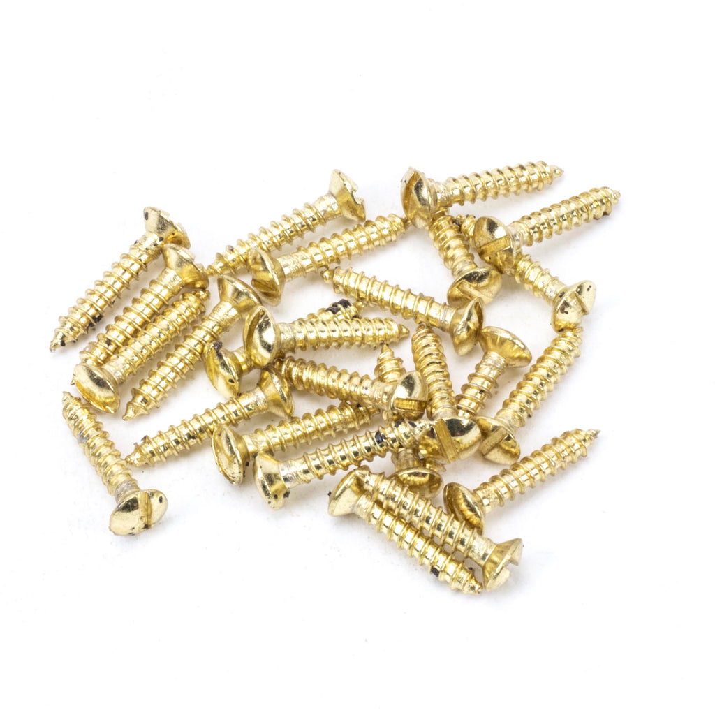 White background image of From The Anvil's Polished Brass Countersunk Raised Head Screws (25) | From The Anvil