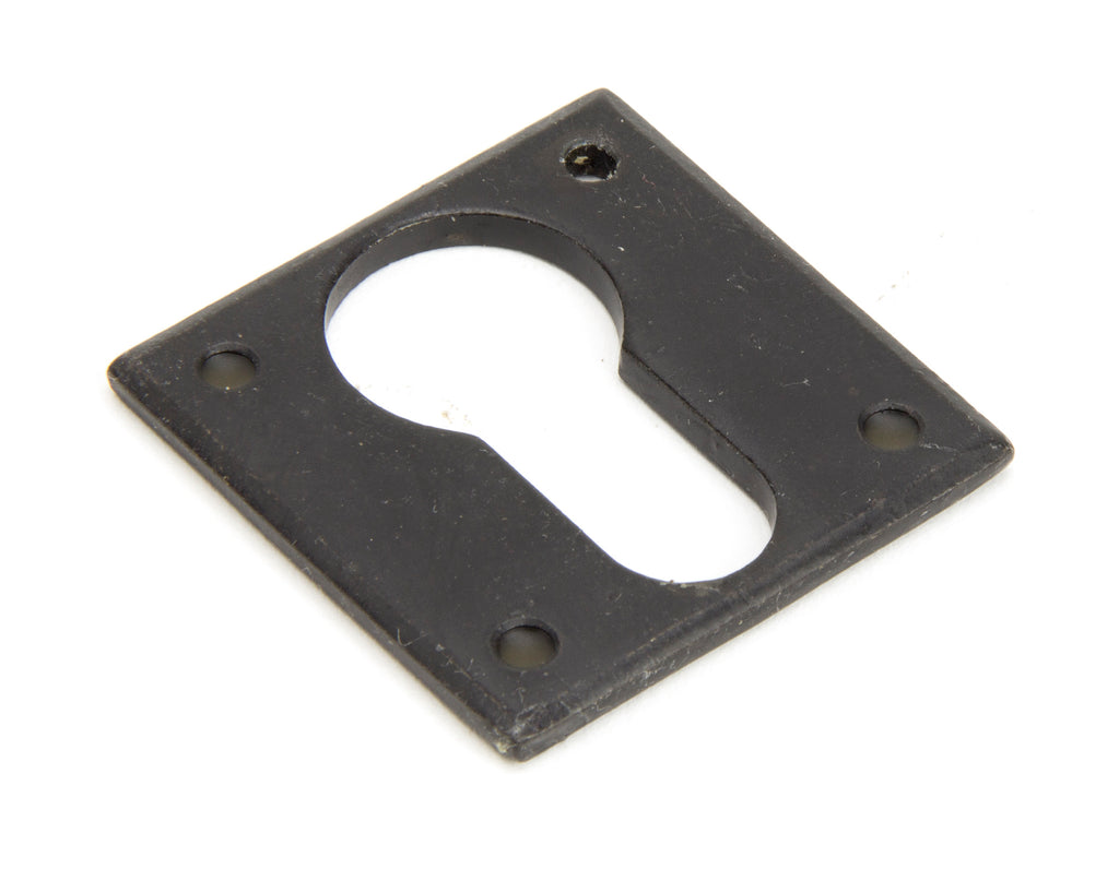 White background image of From The Anvil's External Beeswax Avon Euro Escutcheon | From The Anvil