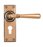 From The Anvil's Polished Bronze Newbury Lever Euro Lock Set