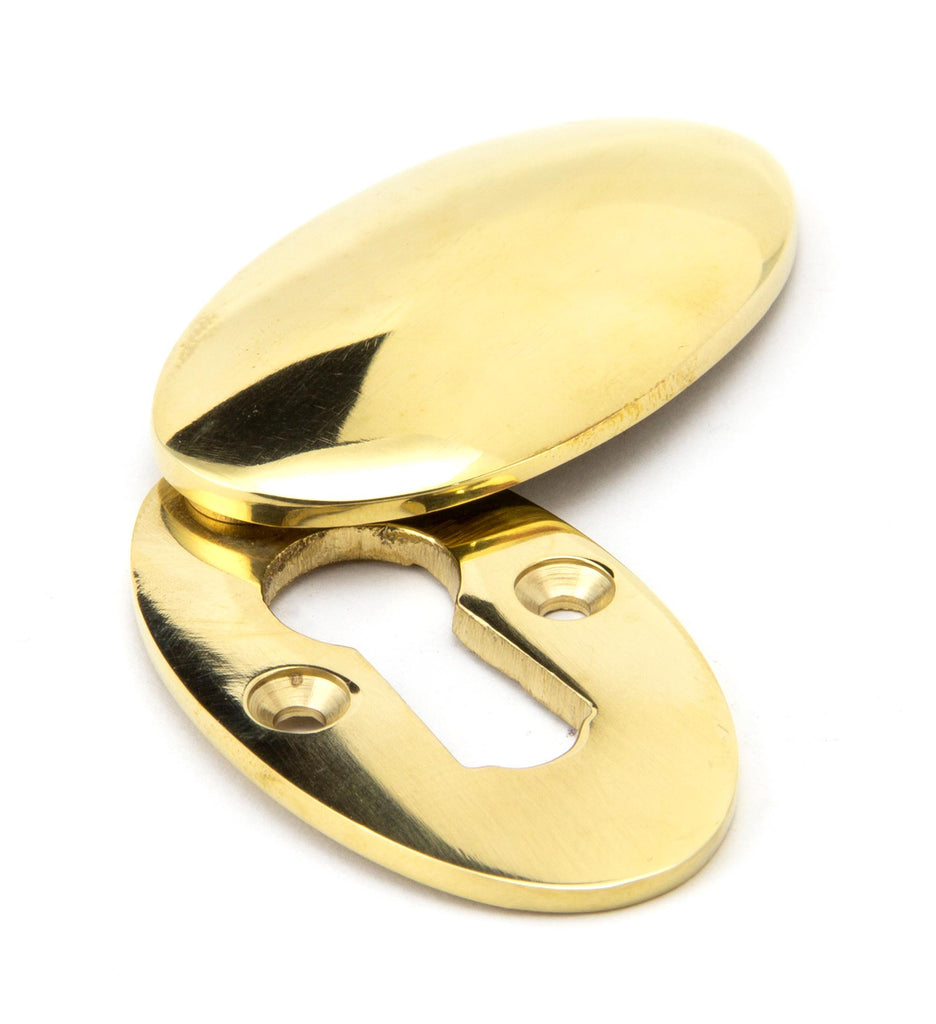 From The Anvil's Polished Brass Oval Escutcheon