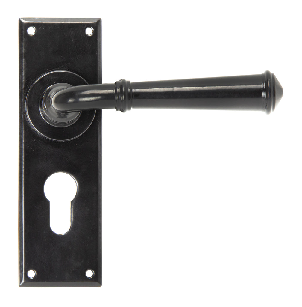 White background image of From The Anvil's Black Regency Lever Euro Lock Set | From The Anvil