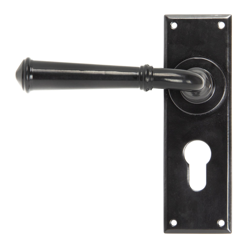 White background image of From The Anvil's Black Regency Lever Euro Lock Set | From The Anvil