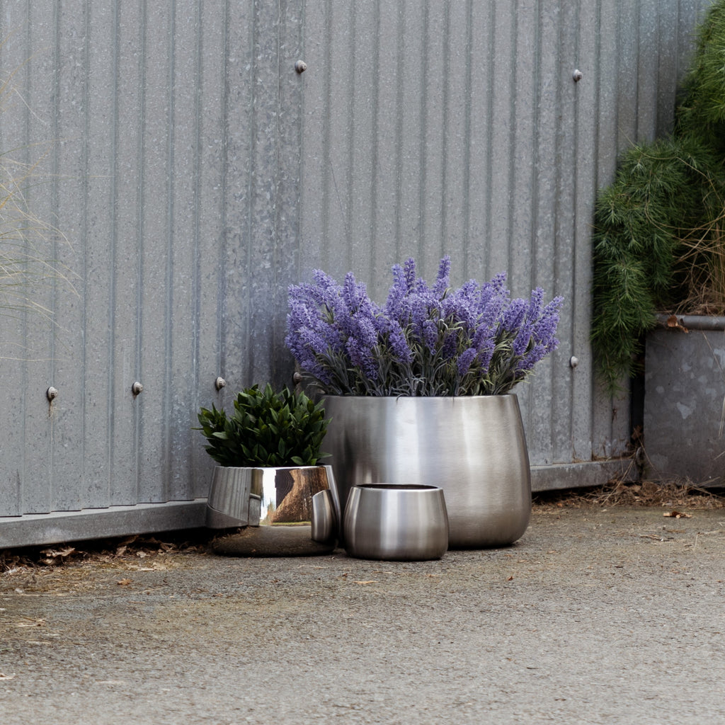 Polished and Satin Stainless Steel From The Anvil plant pots with assorted plants in.